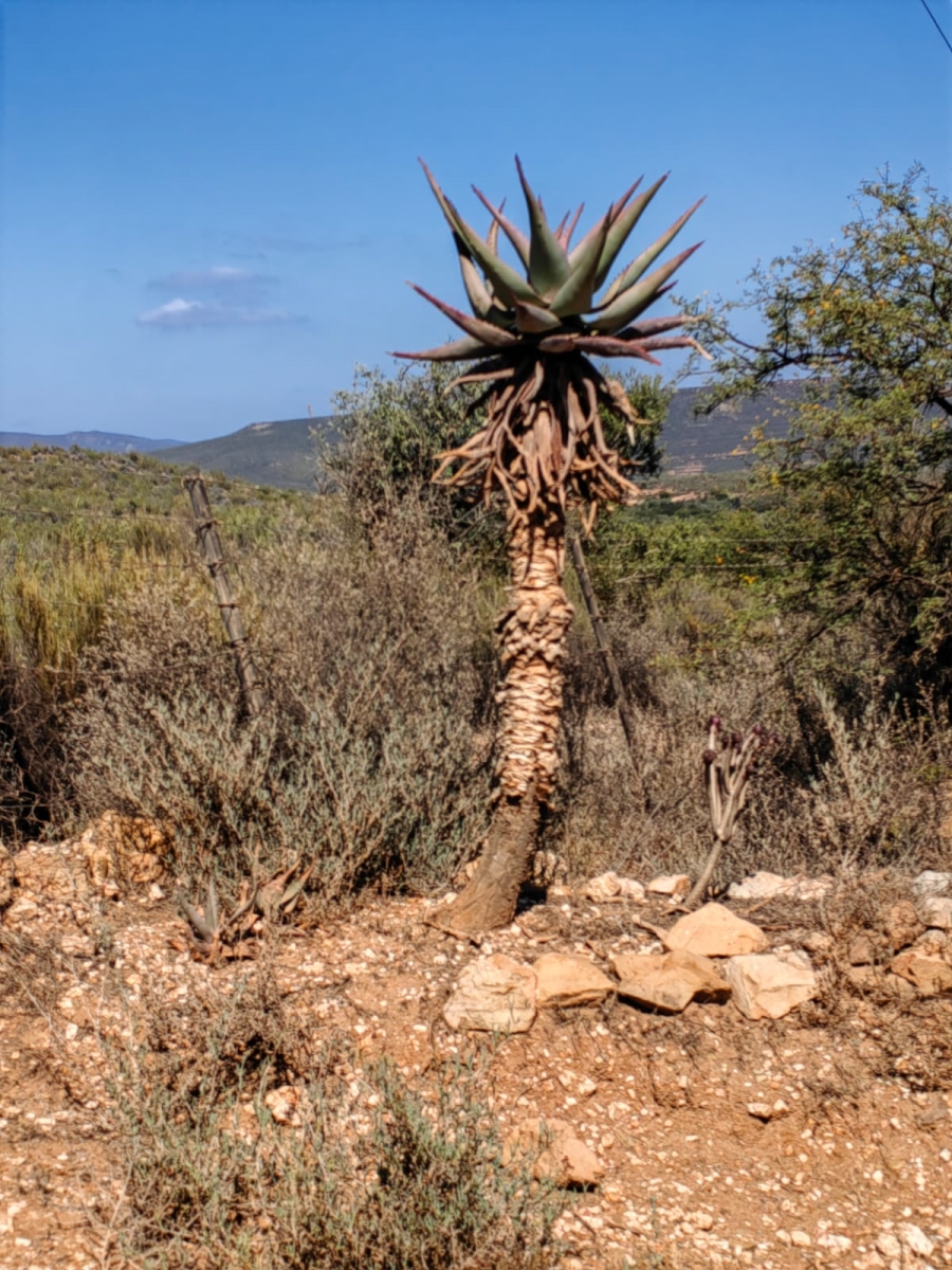 5 Bedroom Property for Sale in Uniondale Western Cape